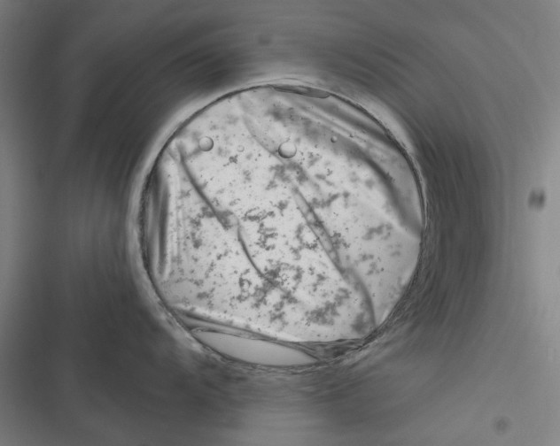 X0000116671104201001111305