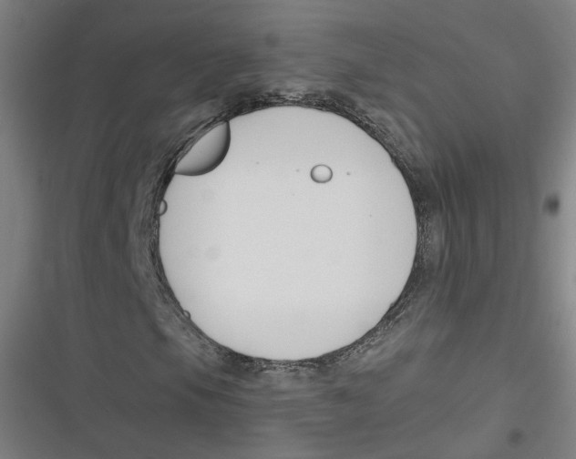 X0000116671105201001111305