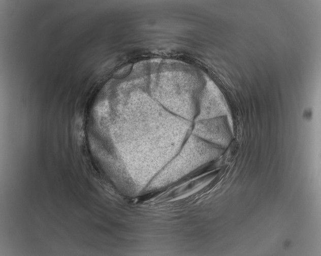 X0000116671106201001111305