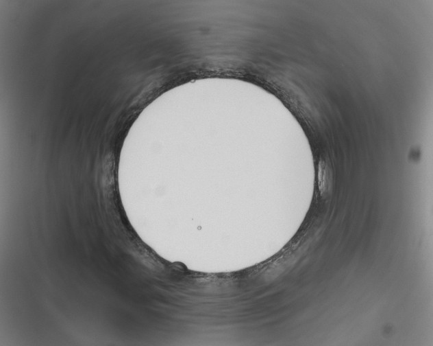 X0000116671107201001111305