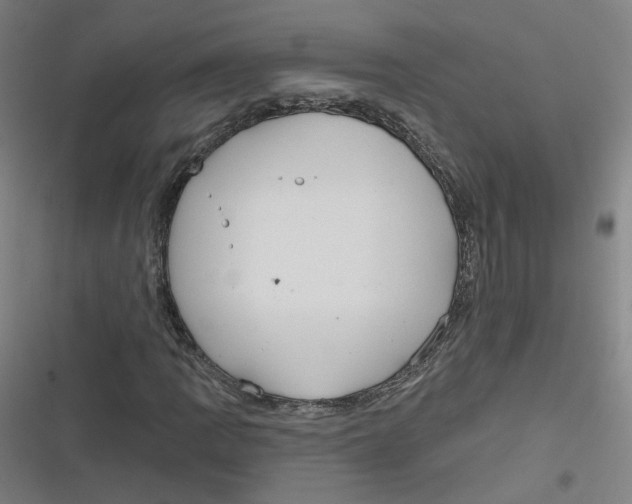 X0000116671109201001111305