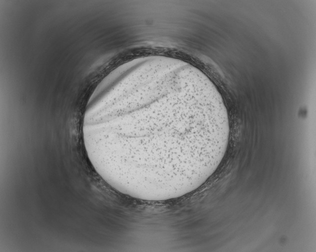 X0000116671110201001111305