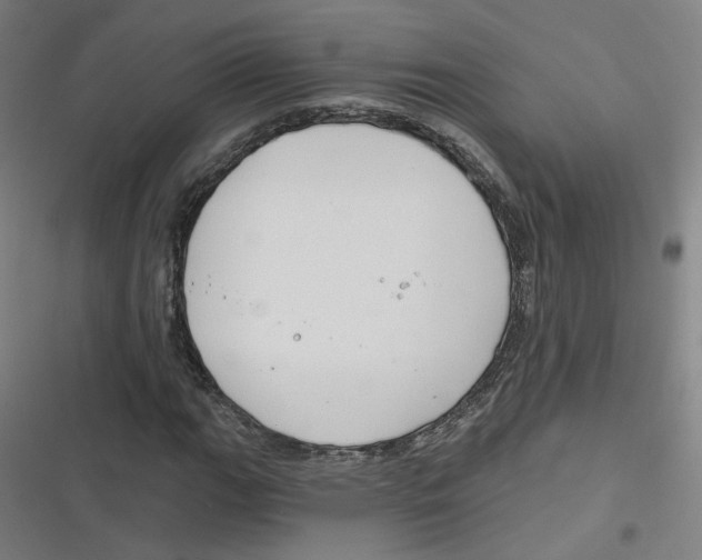 X0000116671111201001111305