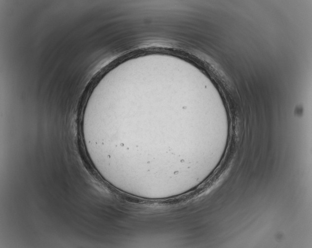 X0000116671113201001111305