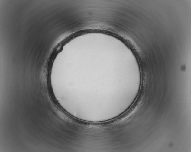 X0000116671114201001111305