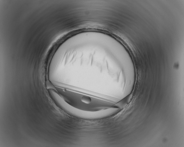 X0000116671115201001111305