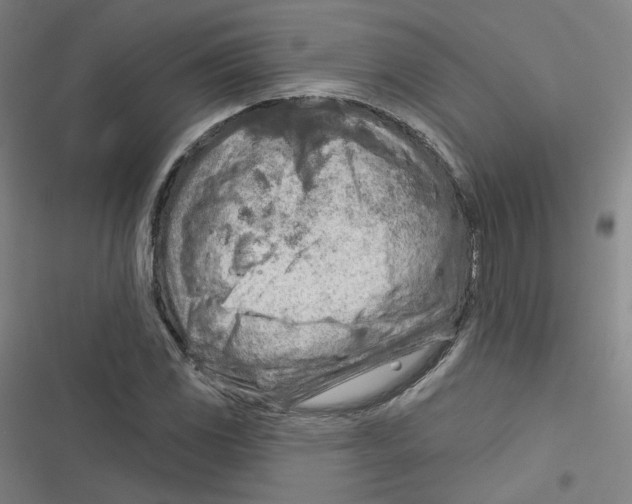 X0000116671117201001111305