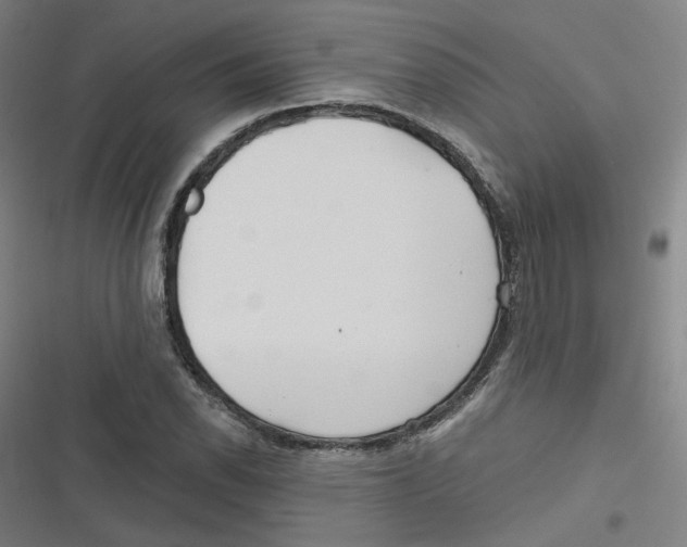 X0000116671118201001111305