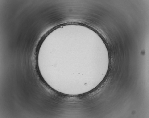 X0000116671119201001111305