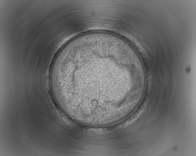 X0000116671121201001111305