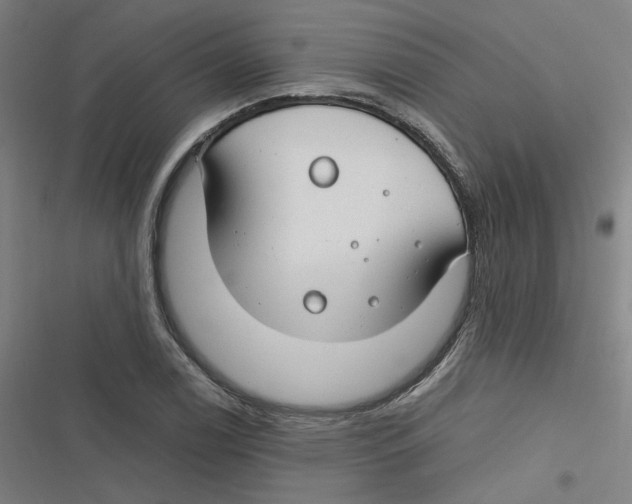 X0000116671122201001111305