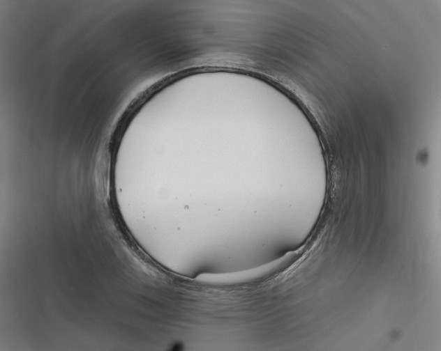 X0000116671123201001111305