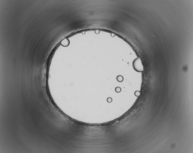 X0000116671126201001111305