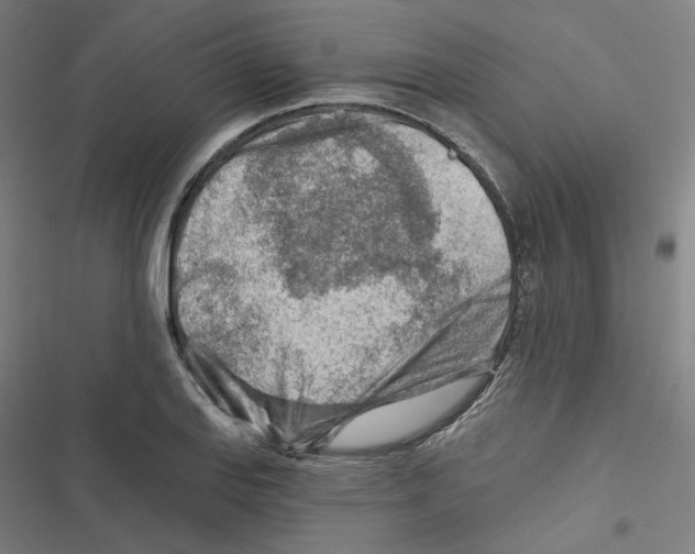 X0000116671127201001111305