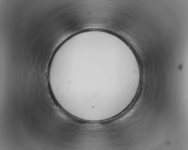 X0000116671129201001111305