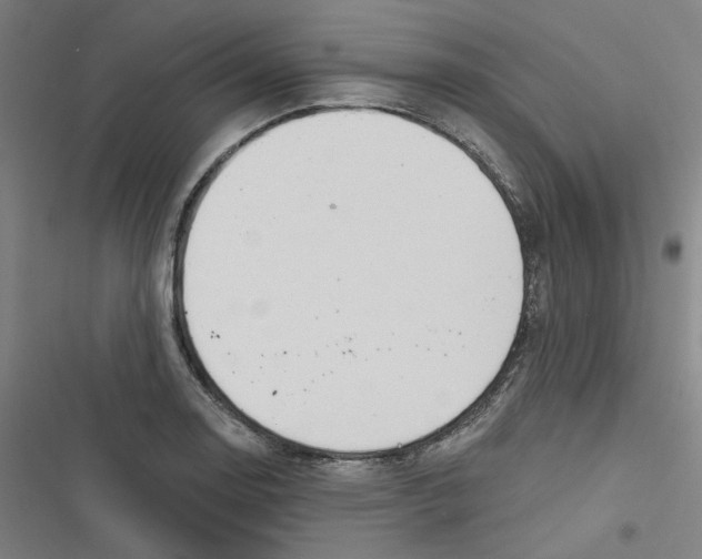 X0000116671130201001111305