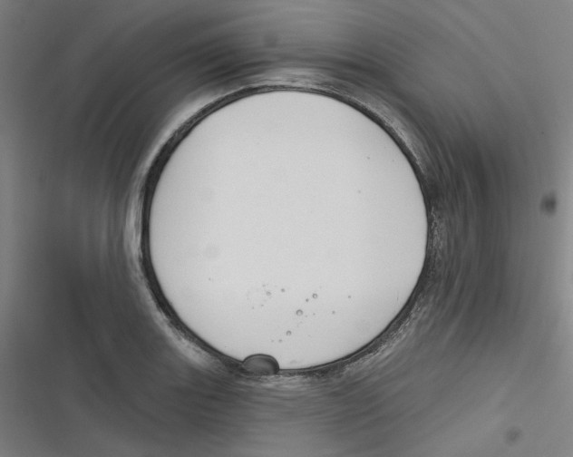 X0000116671131201001111305