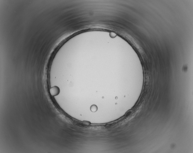 X0000116671133201001111305