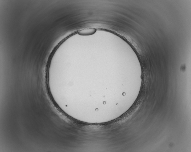 X0000116671134201001111305