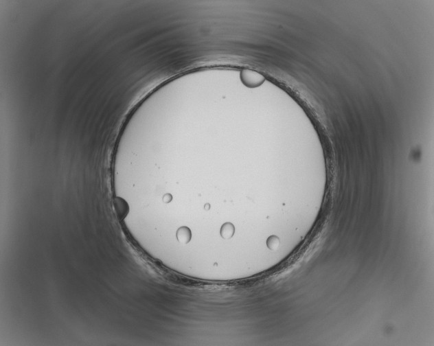 X0000116671137201001111305