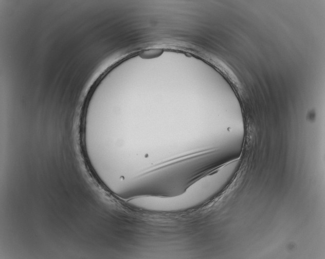 X0000116671138201001111305