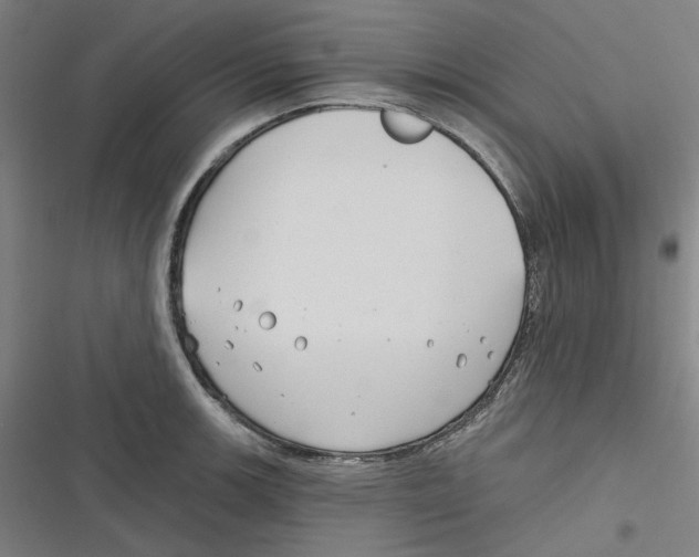 X0000116671139201001111305