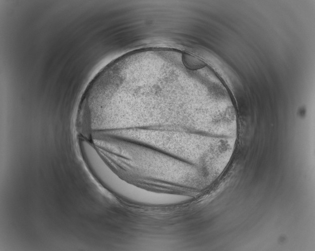 X0000116671141201001111305