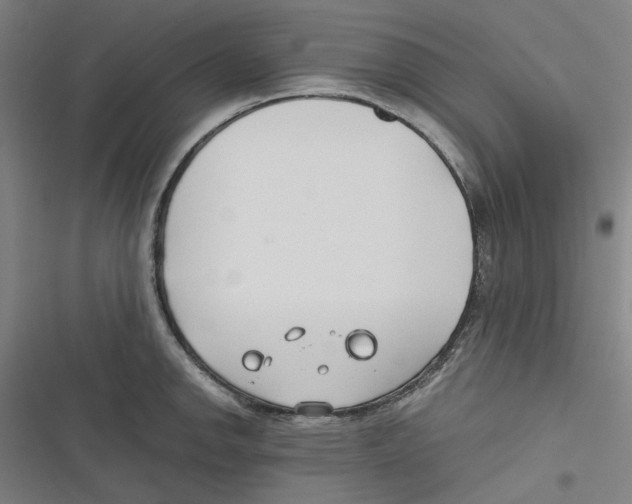 X0000116671142201001111305