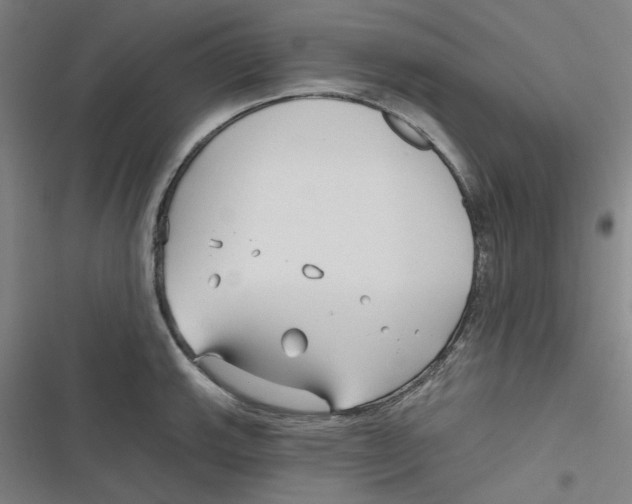 X0000116671143201001111305