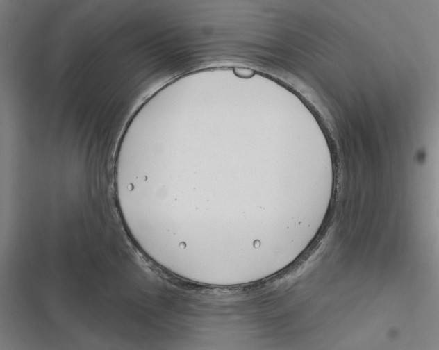 X0000116671145201001111305