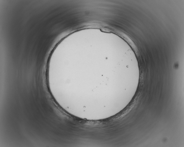 X0000116671146201001111305