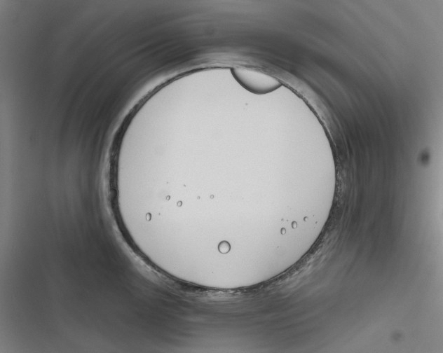 X0000116671147201001111305