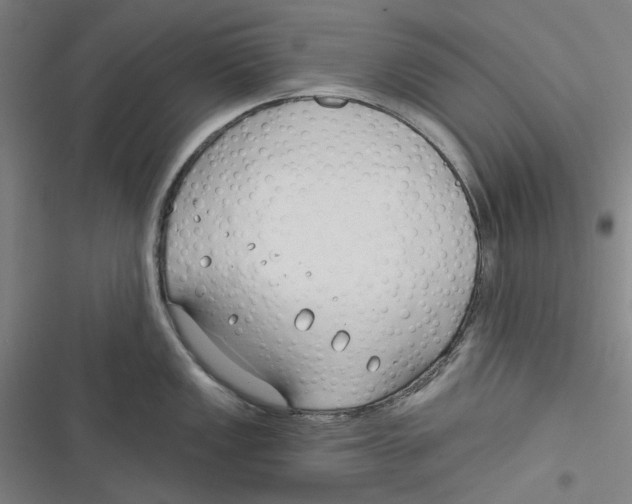 X0000116671149201001111305