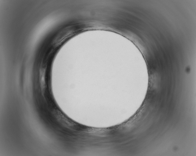 X0000116671150201001111305