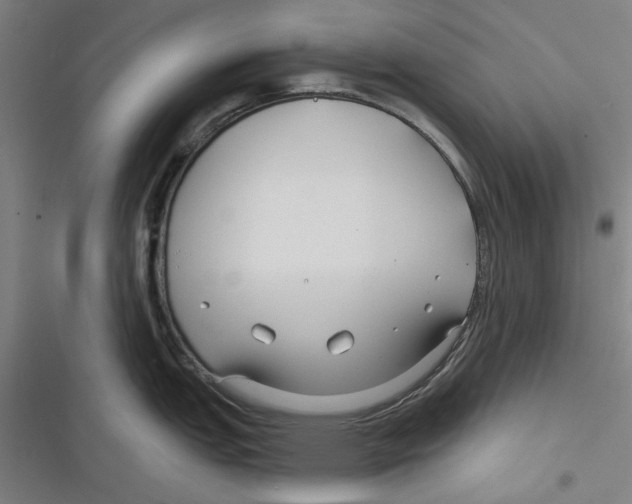 X0000116671151201001111305