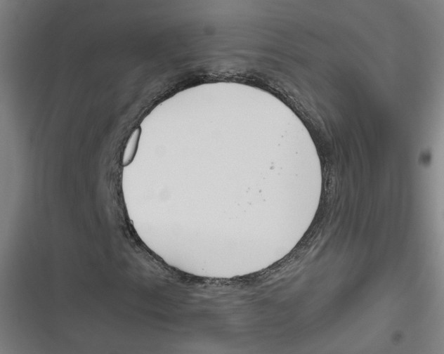 X0000116671153201001111305