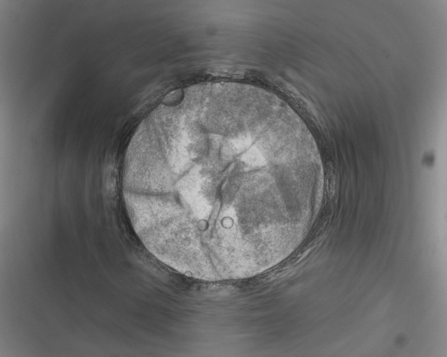 X0000116671154201001111305