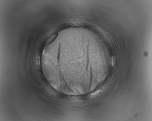 X0000116671155201001111305