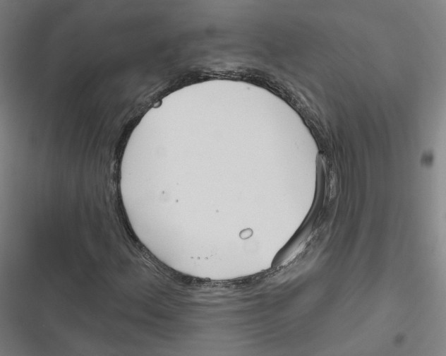 X0000116671156201001111305