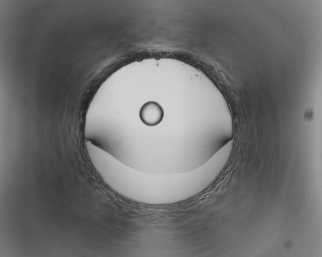 X0000116671157201001111305