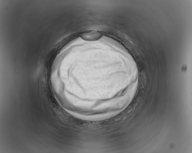 X0000116671158201001111305