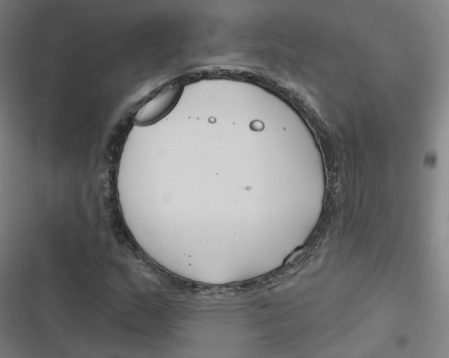 X0000116671159201001111305