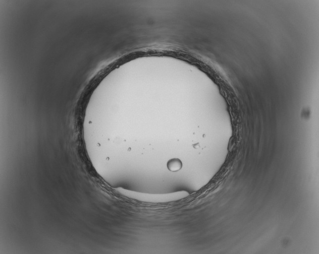 X0000116671160201001111305