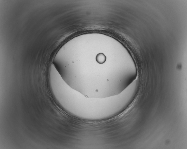 X0000116671161201001111305