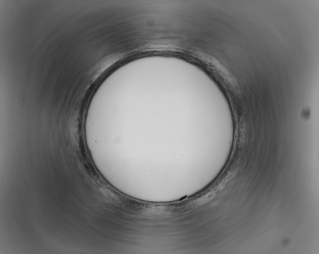 X0000116671162201001111305