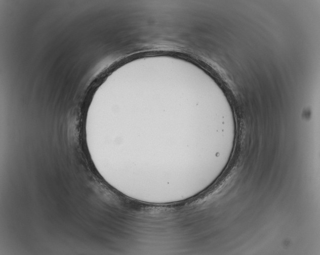 X0000116671163201001111305