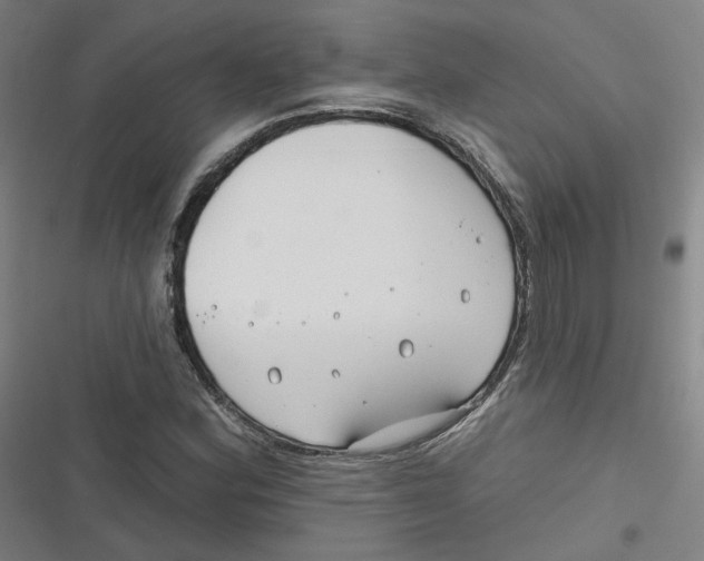 X0000116671164201001111305