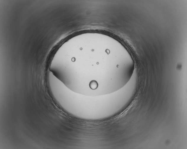 X0000116671165201001111305