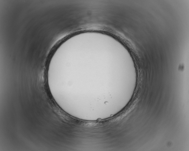 X0000116671166201001111305