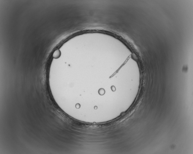 X0000116671167201001111305